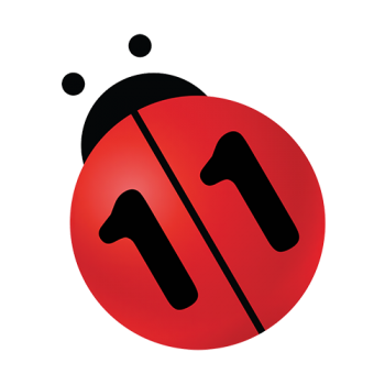 img of N11