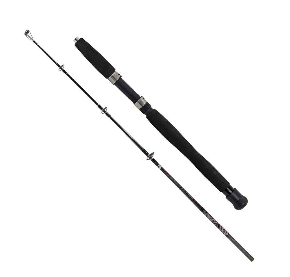 Albastar Boat 120cm 100-200g Kamış - 1
