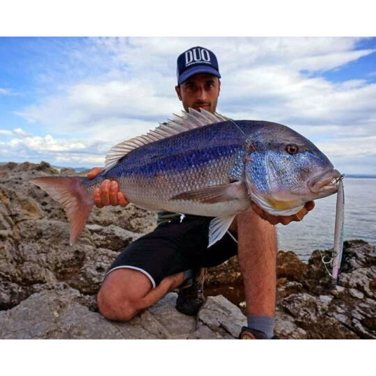 Duo Press Bait Saira 175mm 50g AHO0088 Prism Ivory - 2