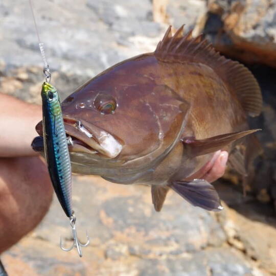 Duo Rough Trail Malice 130 AHA0109 Mackerel HD - 2
