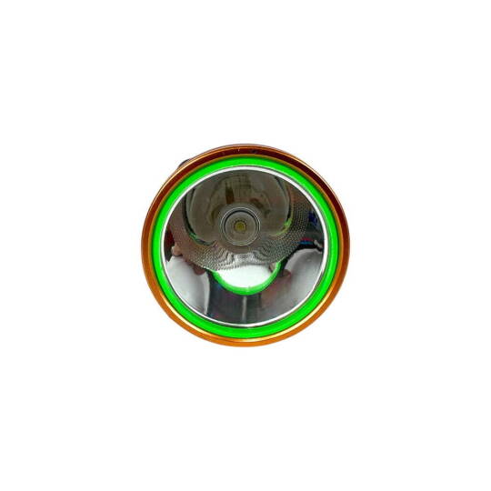 Goldsilver Gs-795 Kafa Lambası 60W - 2