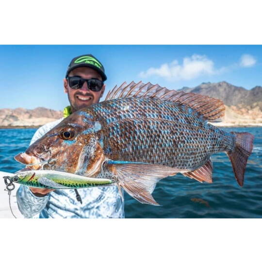Jack Fin Pelagus 165-S 165mm 75gr Mackerel - 3