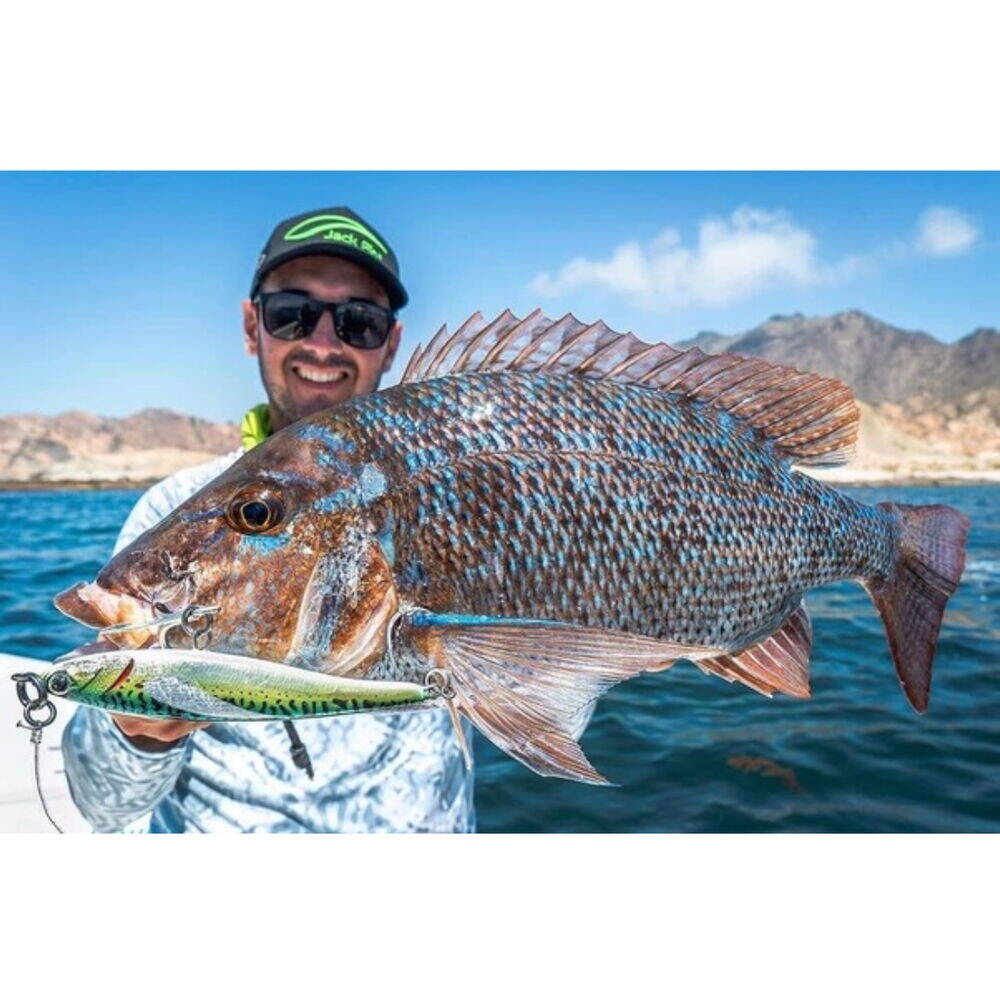 Jack Fin Pelagus 165-S 165mm 75gr Mackerel - 3