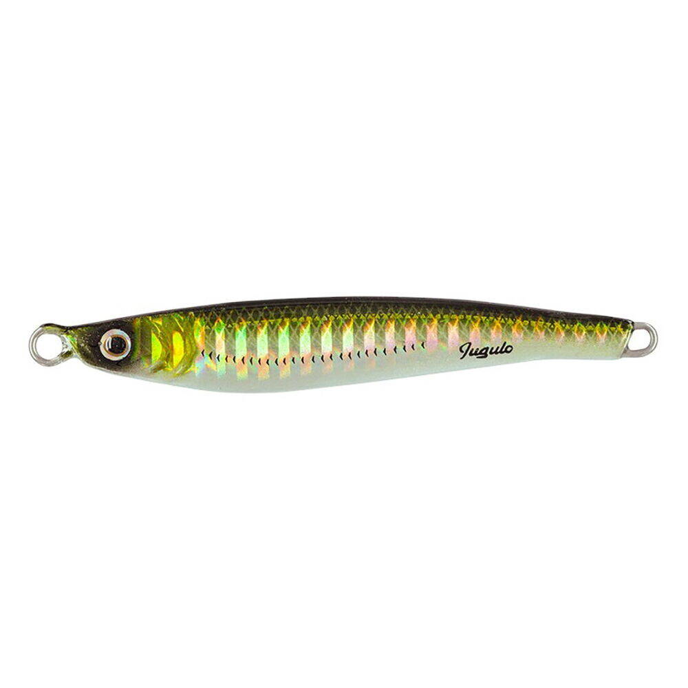 Molix Jugulo Cast Jig 20gr Alborella - 1