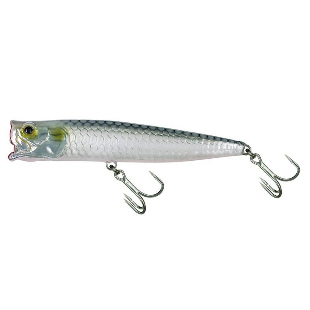 Molix Popper 85T 11.5gr Silver Albino - 1