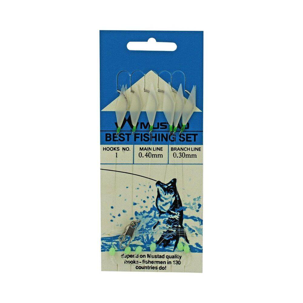 Mustad Best Fishing Set 0,40 0,30 Mm No1 Çapari - 1