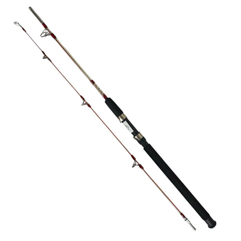 Pinorex Pegasus 2.40m 100-200gr 2 Parça Kamış - 1
