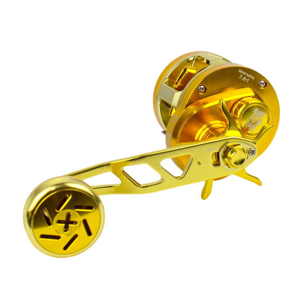 Ryobi Varius GR 30 L Çıkrık - 2