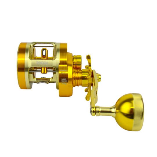 Ryobi Varius GR 30 L Çıkrık - 3