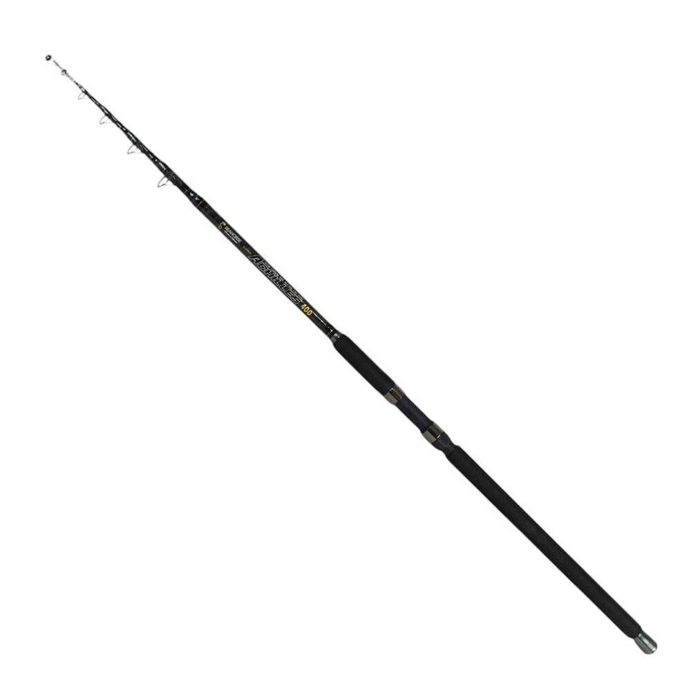 Sea Horse Achilles 4,00 100-200 Gr - 1
