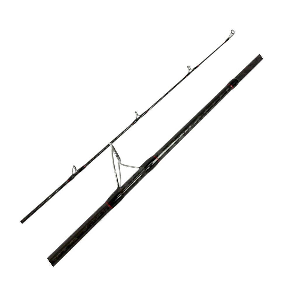 Sea Horse Athen Seabass 2,90m 20-80gr - 3