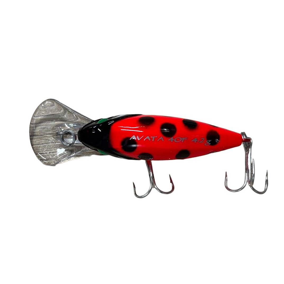 Sea Horse Avata Gl-Lady Bettle - 3