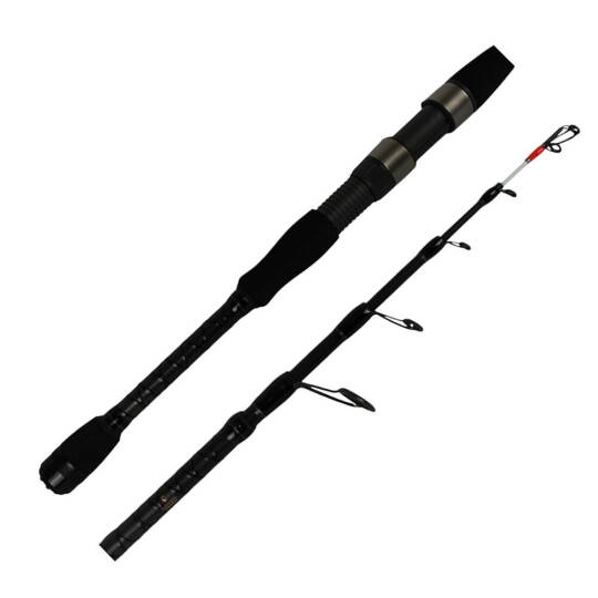 Sea Horse Big Cast Tele Spin 2,40 10-40 Gr - 2