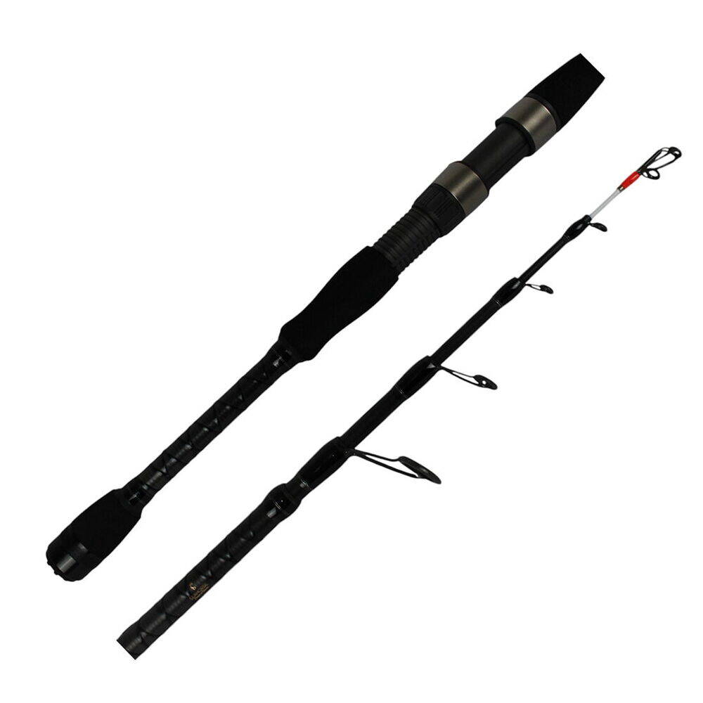 Sea Horse Big Cast Tele Spin 2,70 10-40 Gr - 2