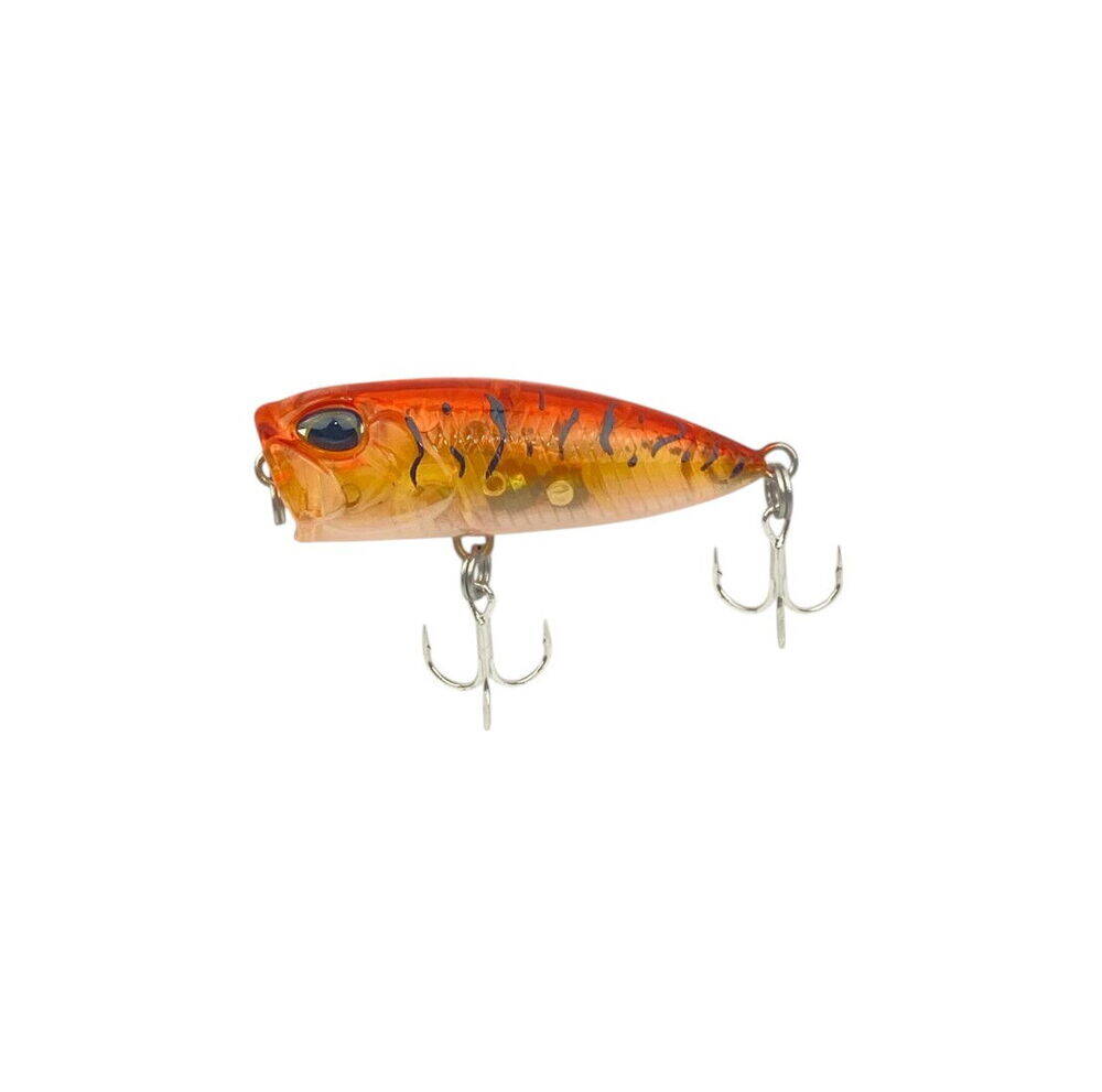 Sea Horse Bobby Kanky 40mm 3 Gr Honey Tiger Shrimp - 1