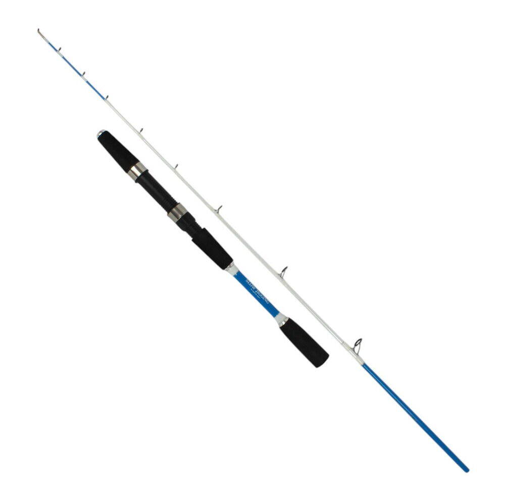Sea Horse Crazy Fish Slow Jigging 1,35 30-100 - 1