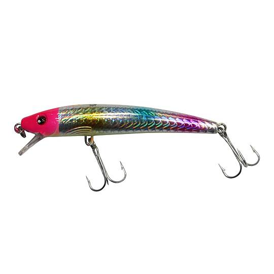 Sea Horse Ex-Rap 70F 5 Gr Rainbow Chart