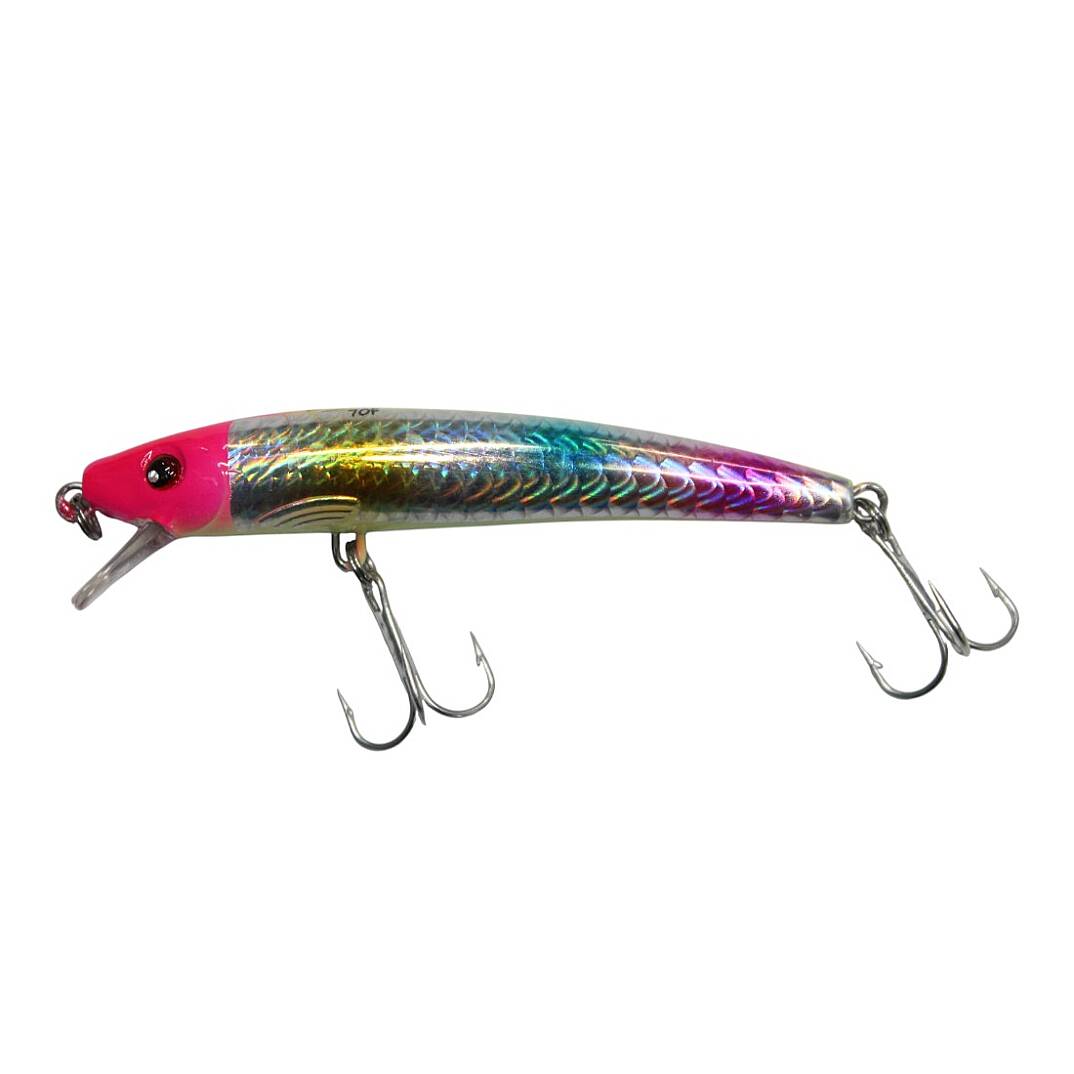 Sea Horse Ex-Rap 70F 5 Gr Rainbow Chart - 1