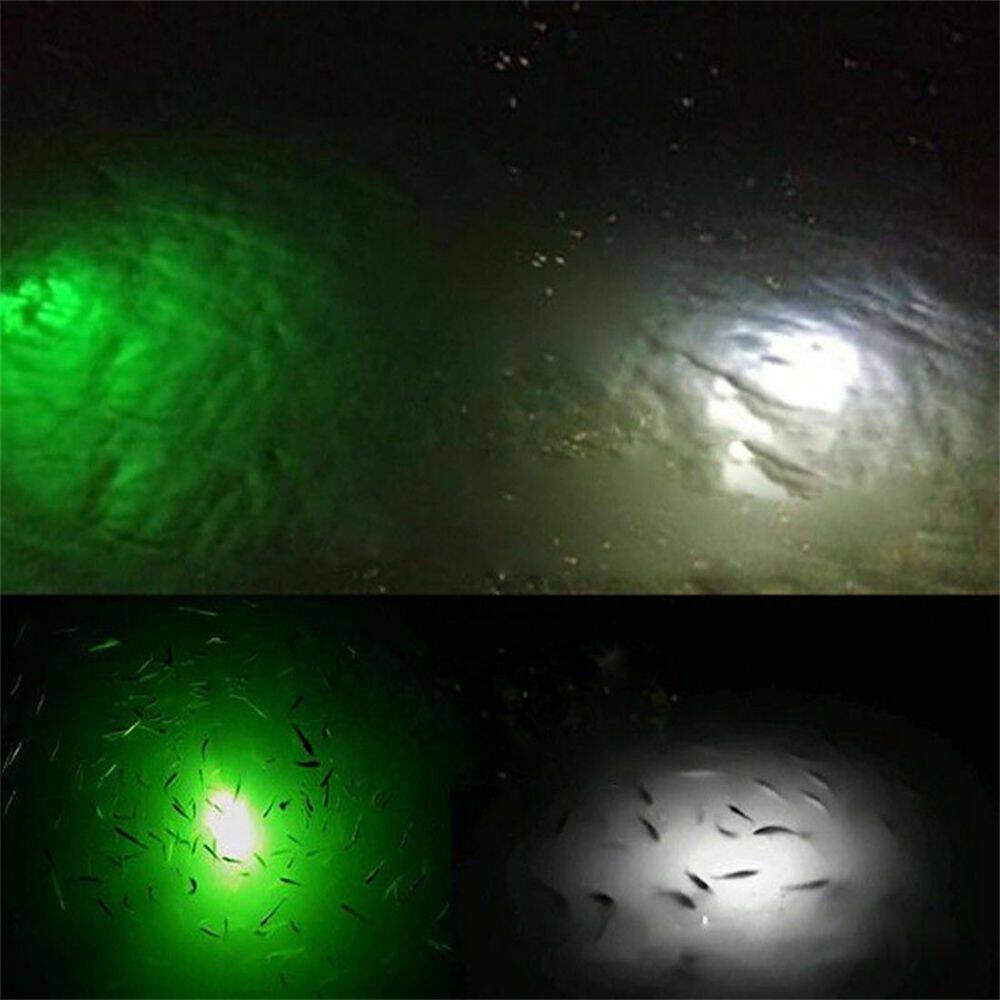 Sea Horse Eye Light V1-Uwl Green - 2