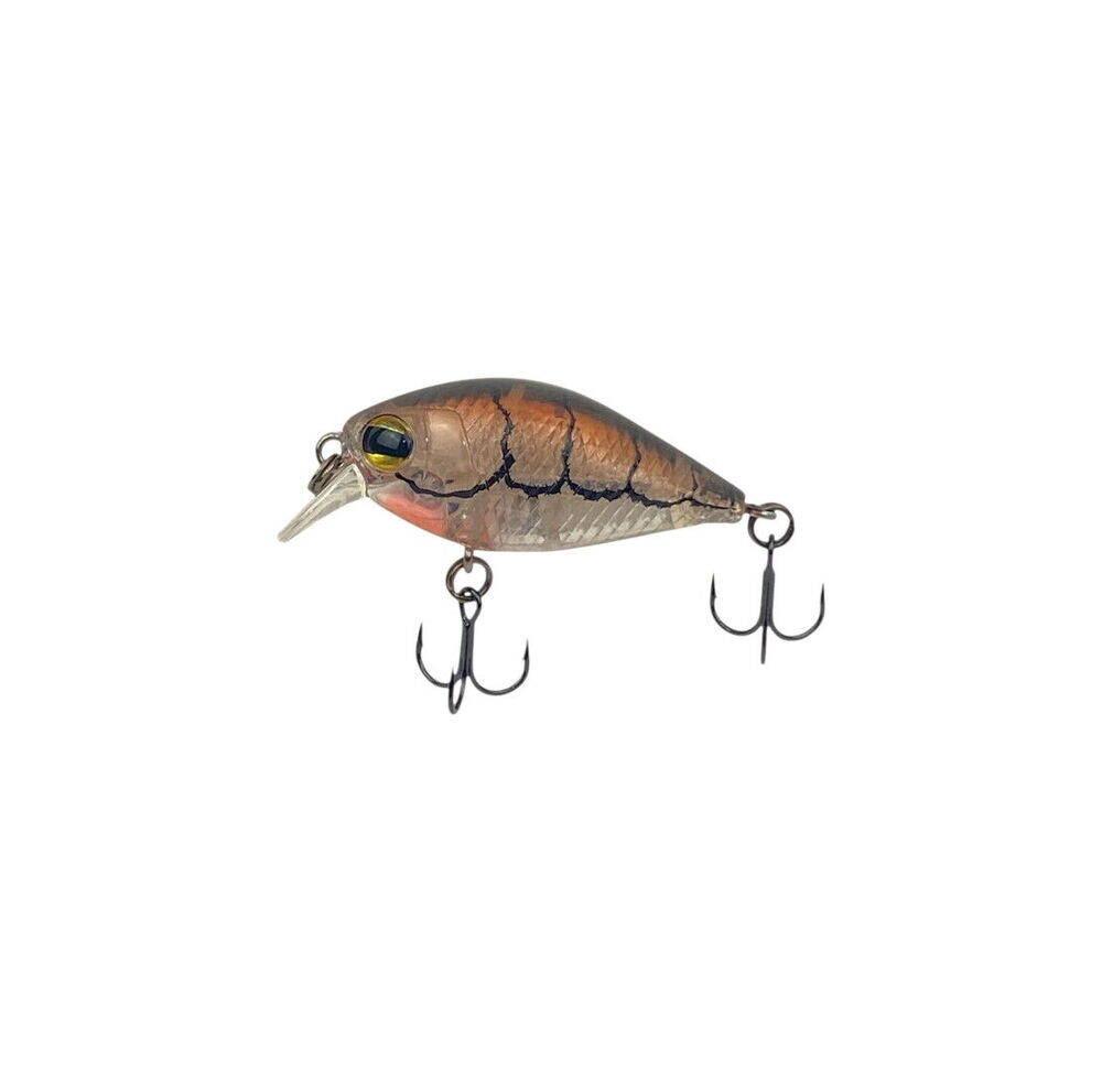 Sea Horse Fans Crank 3,6 Mm 3,8 Gr Ghost Shrimp - 1