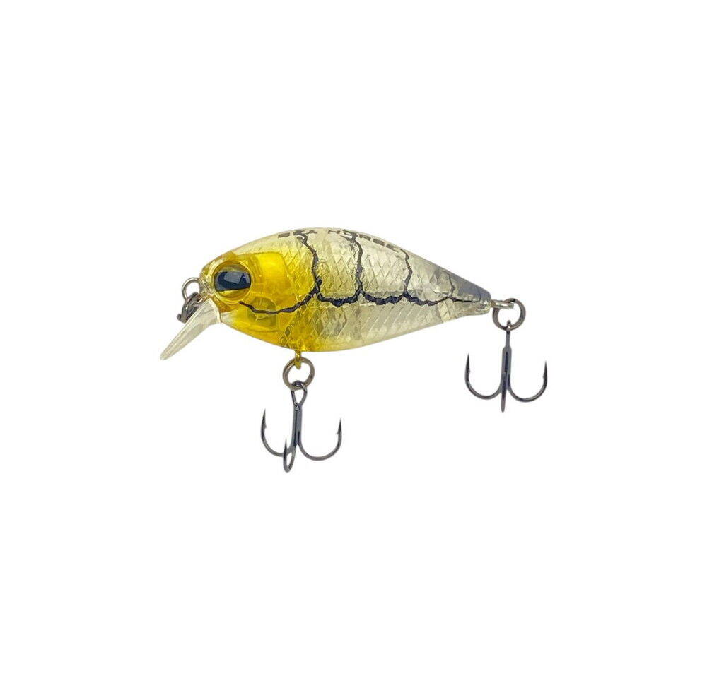 Sea Horse Fans Crank 3,6 Mm 3,8 Gr Nest Shrimp - 1