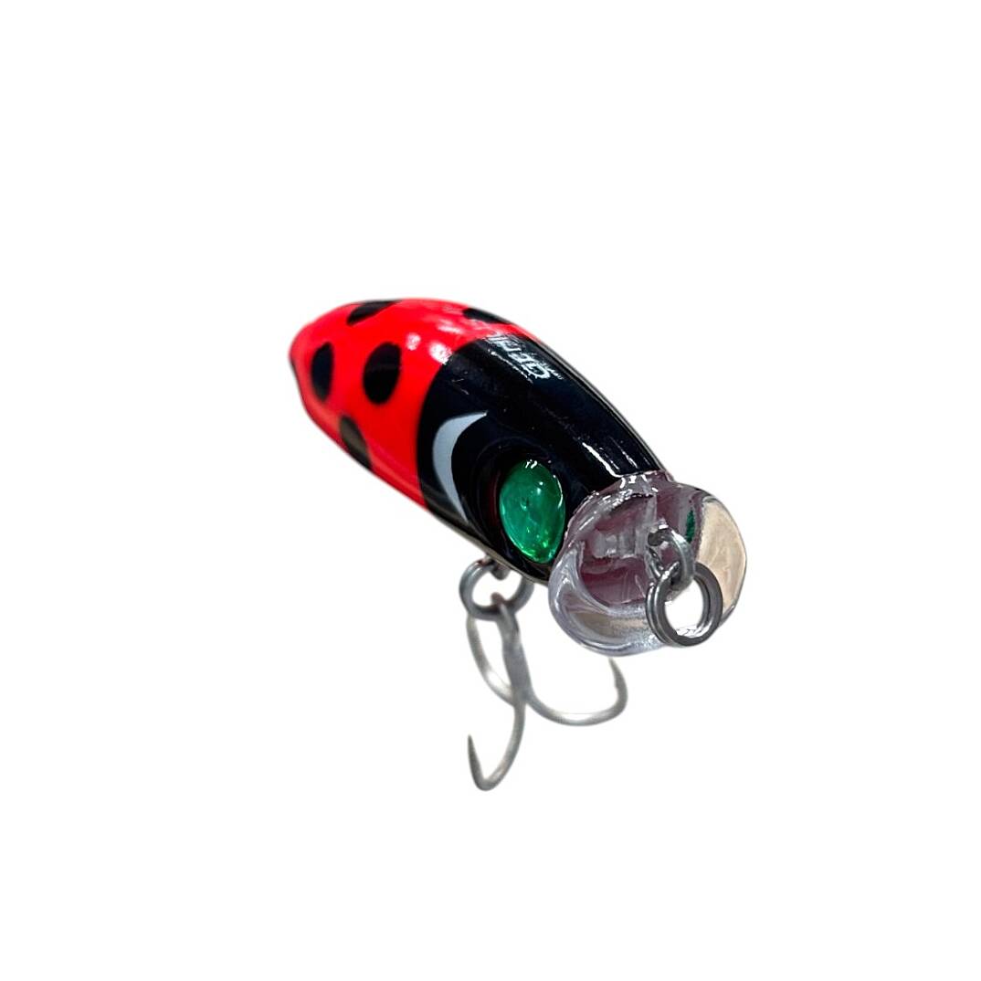 Sea Horse Genıus Gl-Lady Bettle - 5