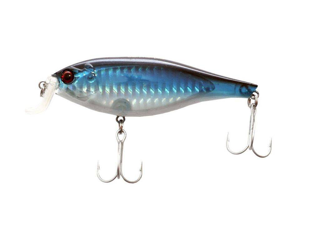 Sea Horse Shad Rap Shıne 8,8 Cm 10 16,5 Gr Sb - 1
