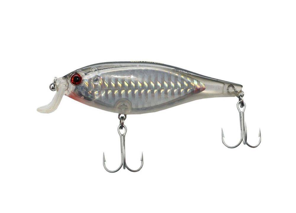 Sea Horse Shad Rap Shıne 8,8 Cm 11 16,5 Gr Sb - 1